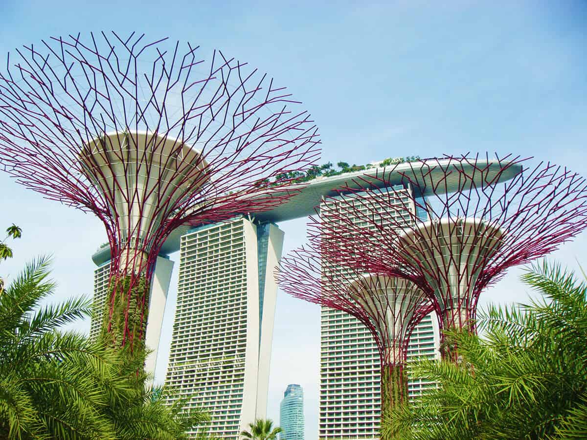 Super Tree Grove, Gardens by the Bay - Singapore