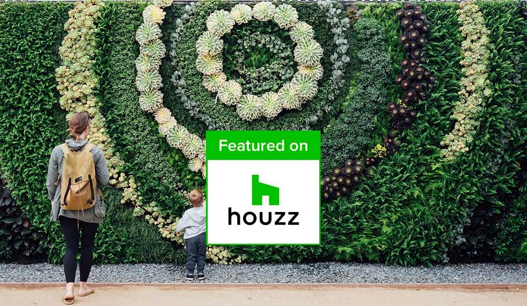 Houzz – An Architect Reveals: 5 Reasons You Need a Greenwall