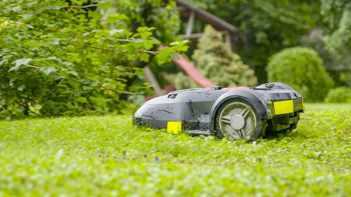 robot lawnmower