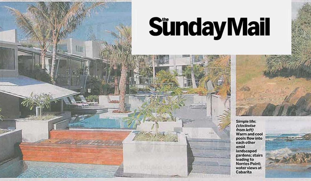 lea design studio sunday mail article header